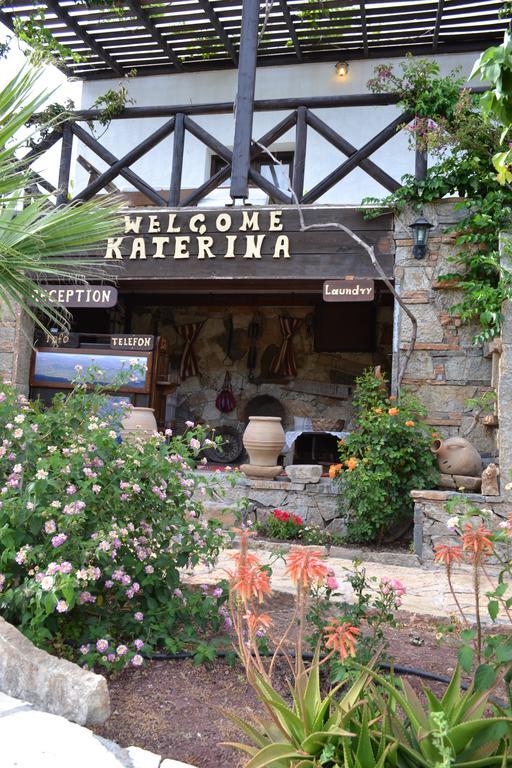 Katerina Apartments Káto Zákros Esterno foto